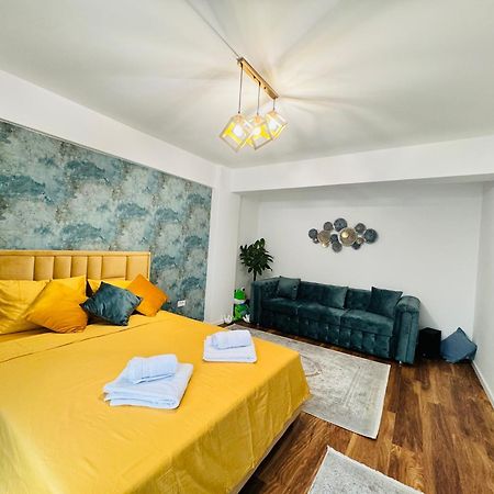 Luxury Apartment Sinuhe 布拉索夫 外观 照片